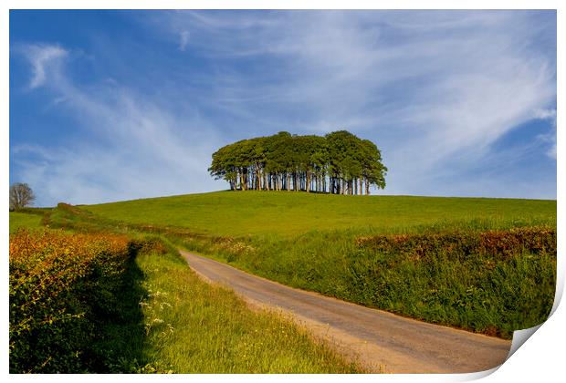 Nearly Home Trees Coming Home Trees Print by Oxon Images