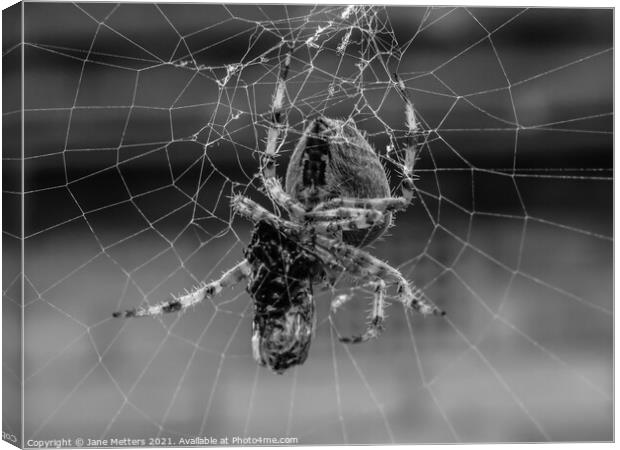 Spider in the Web  Canvas Print by Jane Metters