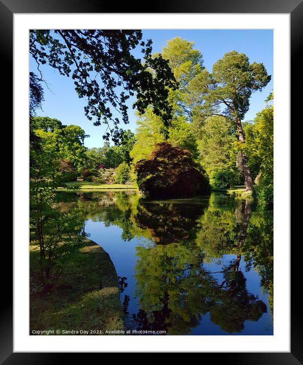 Reflections in lake Framed Mounted Print by Sandra Day