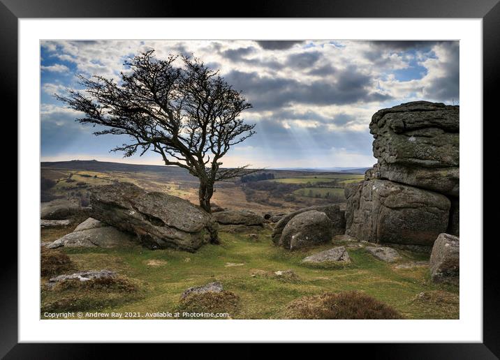Shafts of light (Emsworthy Rock, Saddle Tor) Framed Mounted Print by Andrew Ray