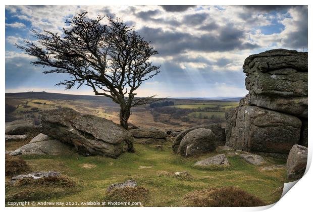 Shafts of light (Emsworthy Rock, Saddle Tor) Print by Andrew Ray