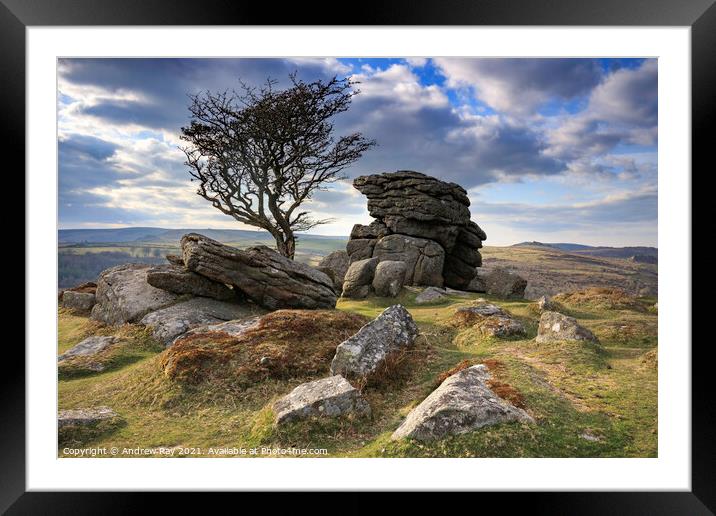 Evening light (Emsworthy Rocks, Saddle Tor)  Framed Mounted Print by Andrew Ray