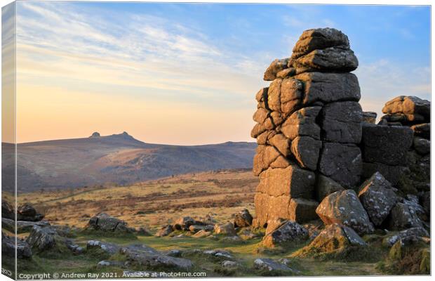 Morning light (Hound Tor) Canvas Print by Andrew Ray