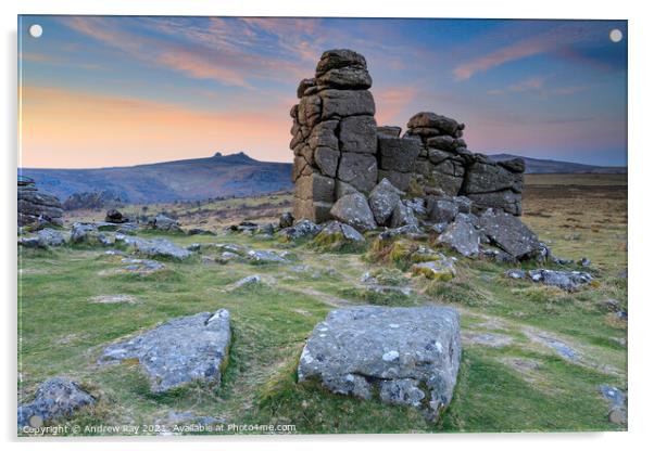 Rocks on Hound Tor at sunrise Acrylic by Andrew Ray