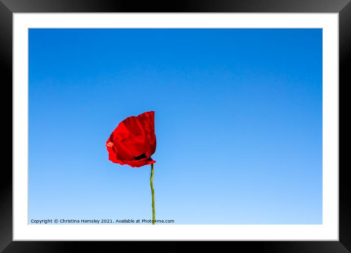 Bold and beautiful poppy Framed Mounted Print by Christina Hemsley