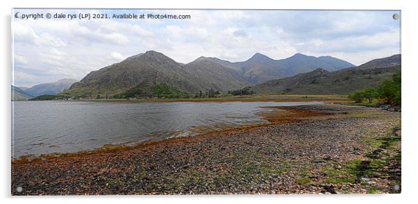 5 sister's-kintail  Acrylic by dale rys (LP)