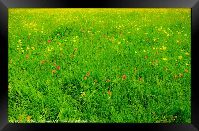 Wild Flowers in the English Countryside Framed Print by Graham Lathbury