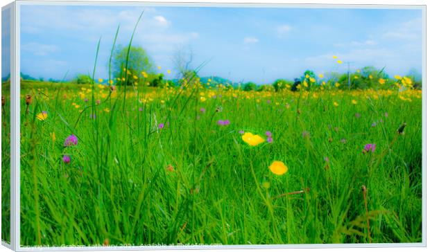 Cotswolds meadow with wild flowers  Canvas Print by Graham Lathbury