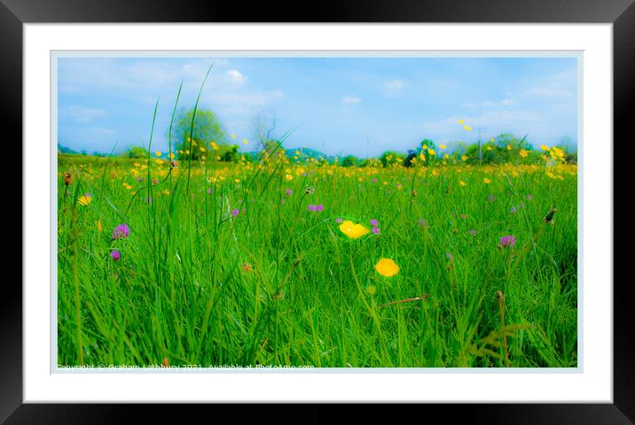 Cotswolds meadow with wild flowers  Framed Mounted Print by Graham Lathbury