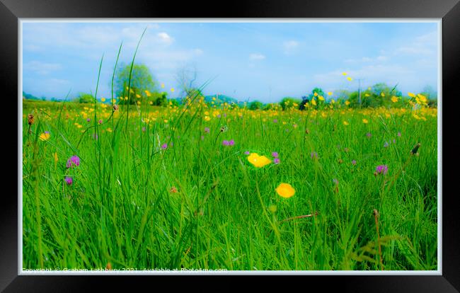 Cotswolds meadow with wild flowers  Framed Print by Graham Lathbury