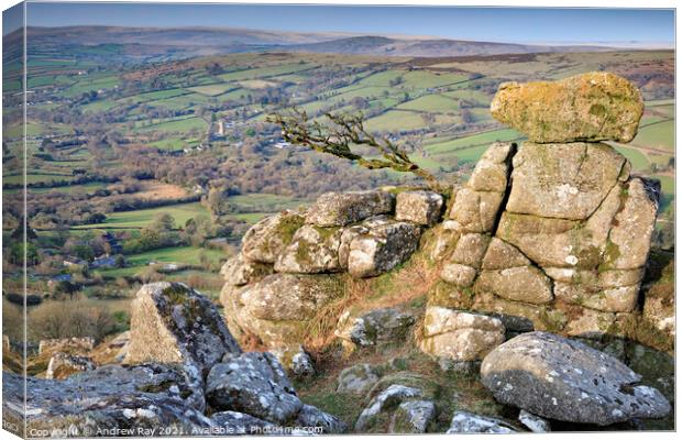 Chinkwell Tor View  Canvas Print by Andrew Ray