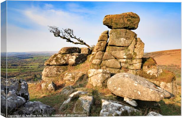 Chinkwell Tor (Dartmoor) Canvas Print by Andrew Ray