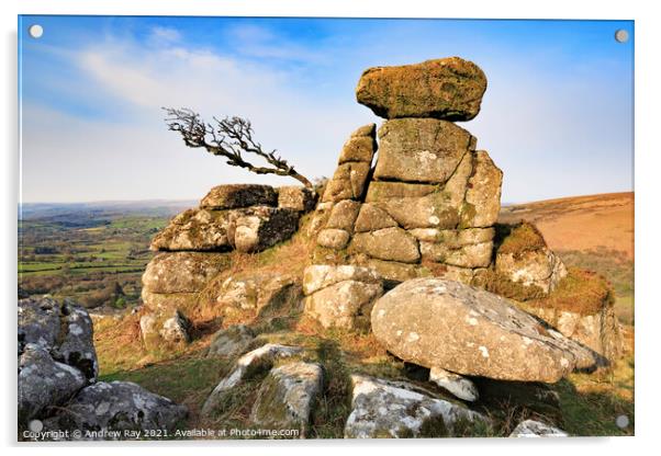 Chinkwell Tor (Dartmoor) Acrylic by Andrew Ray