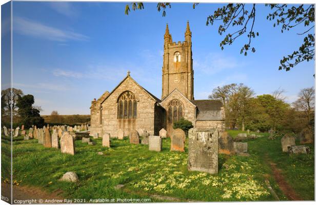 Primroses in Widecombe-in-the-Moor Churchyard Canvas Print by Andrew Ray