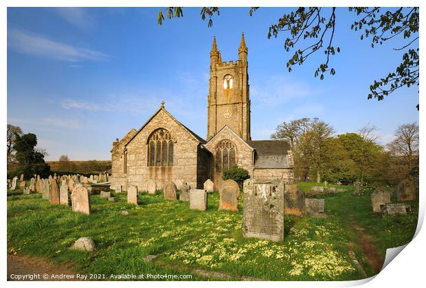 Primroses in Widecombe-in-the-Moor Churchyard Print by Andrew Ray