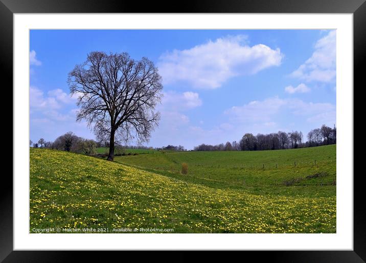 Spring Tranquility Pasture Orne France Framed Mounted Print by Malcolm White