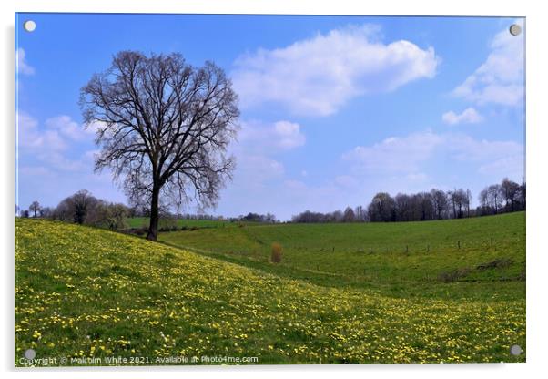 Spring Tranquility Pasture Orne France Acrylic by Malcolm White