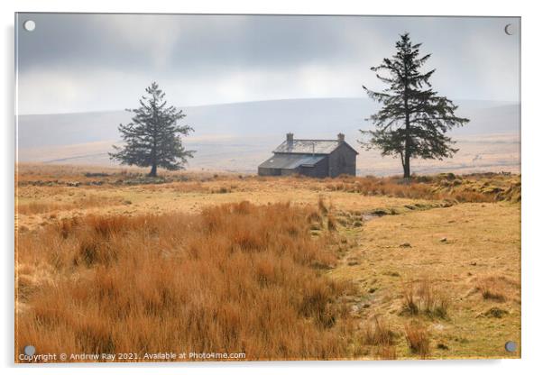 Morning at Nun's Cross Farm Acrylic by Andrew Ray