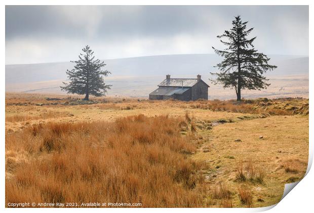 Morning at Nun's Cross Farm Print by Andrew Ray