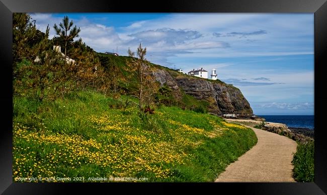 Blackhead Lighthouse Framed Print by Cecil Owens