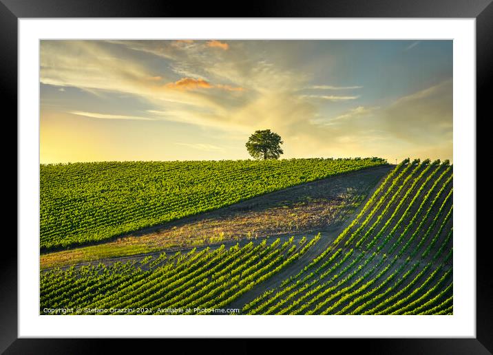 Chianti Vineyards and a Tree Framed Mounted Print by Stefano Orazzini