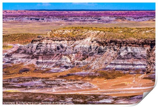 Painted Desert Blue Mesa Petrified Forest National Park Arizona Print by William Perry