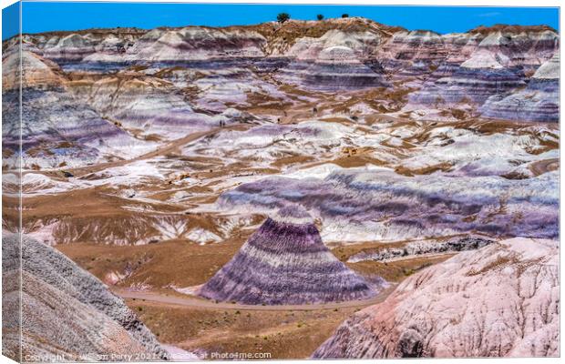 Purple Mountain Painted Desert Petrified Forest National Park Ar Canvas Print by William Perry