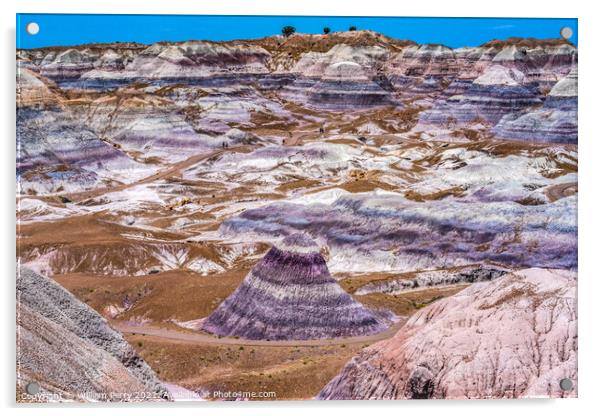 Purple Mountain Painted Desert Petrified Forest National Park Ar Acrylic by William Perry