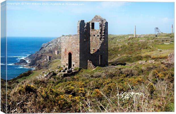 Wheal Edward and The Crowns Canvas Print by Terri Waters