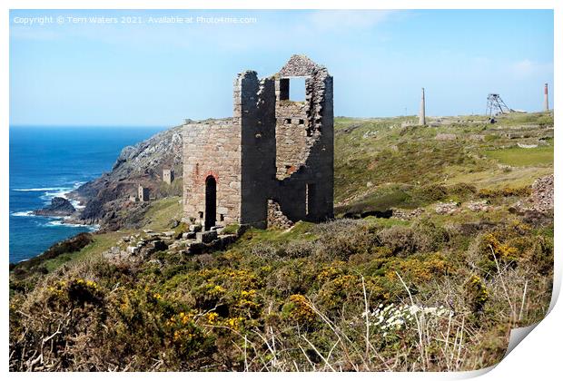 Wheal Edward and The Crowns Print by Terri Waters