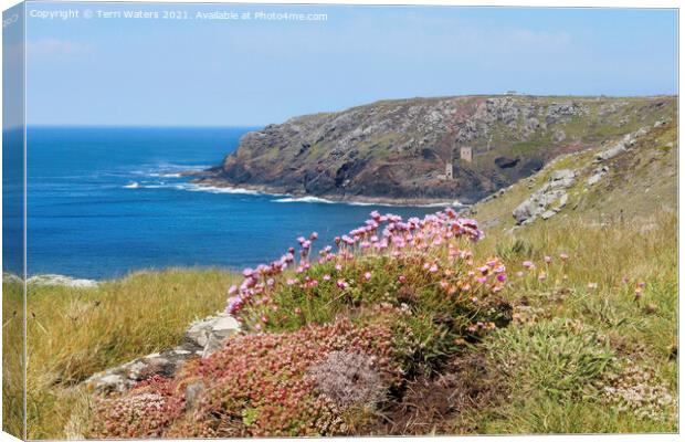 Thrift at Botallack Canvas Print by Terri Waters