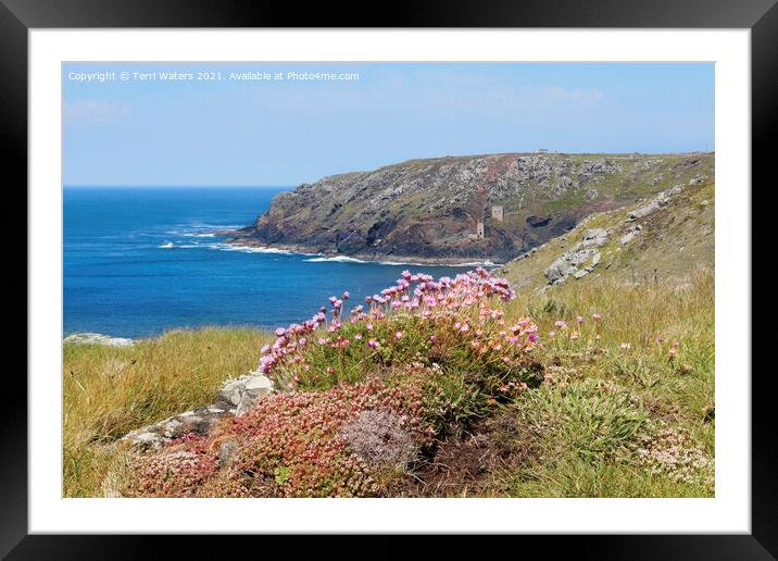 Thrift at Botallack Framed Mounted Print by Terri Waters