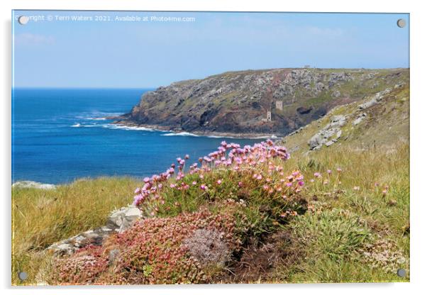 Thrift at Botallack Acrylic by Terri Waters