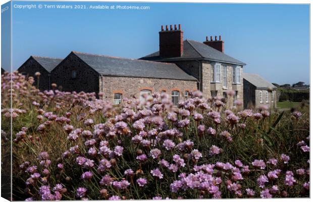 Botallack Count House in Spring Canvas Print by Terri Waters