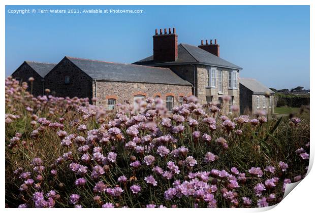 Botallack Count House in Spring Print by Terri Waters