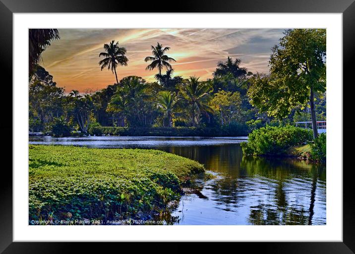 Sunset in The Naples Zoo  Framed Mounted Print by Elaine Manley