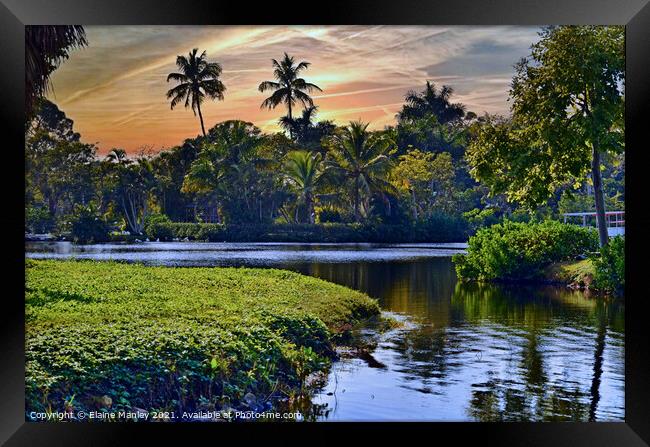 Sunset in The Naples Zoo  Framed Print by Elaine Manley