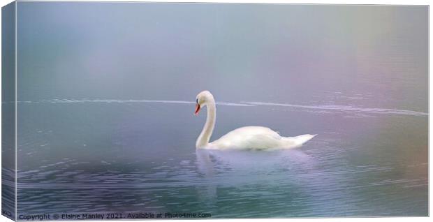 Swan in the Fog  Canvas Print by Elaine Manley