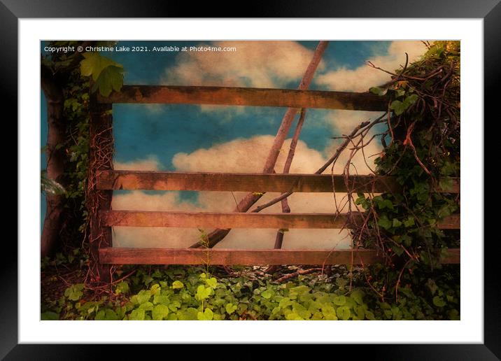 Back To Nature Framed Mounted Print by Christine Lake