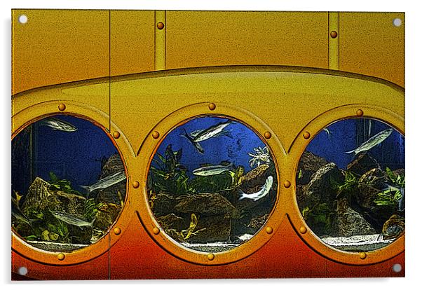 A BIT FISHY Acrylic by Bruce Glasser