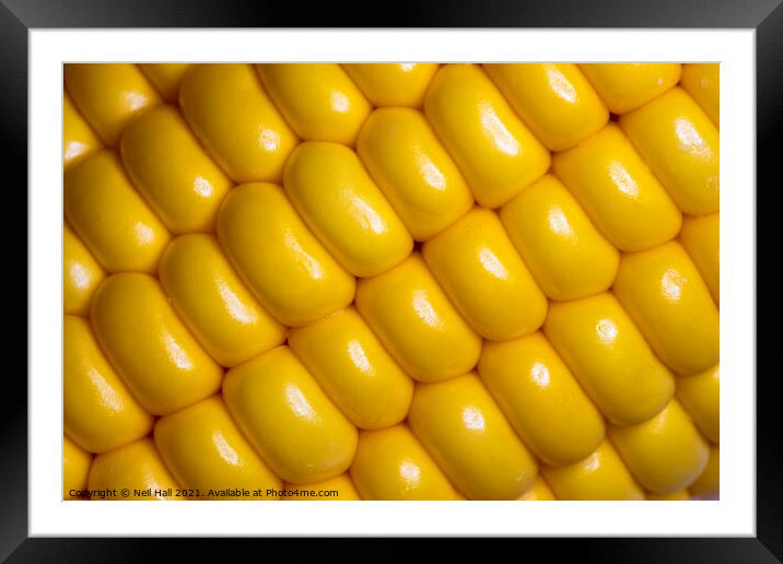 Corn on the Cob Framed Mounted Print by Neil Hall