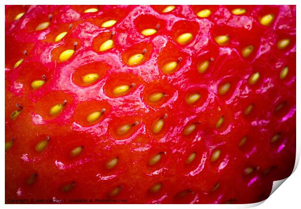 Strawberry Print by Neil Hall