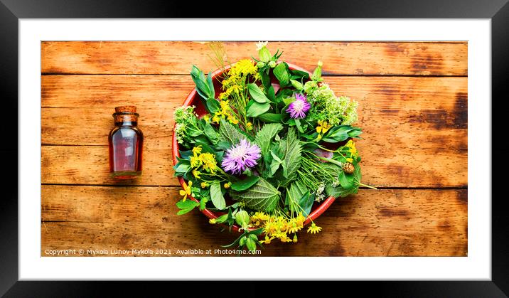 Natural medicine,fresh plants,healing herbs Framed Mounted Print by Mykola Lunov Mykola