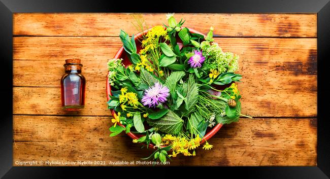Natural medicine,fresh plants,healing herbs Framed Print by Mykola Lunov Mykola