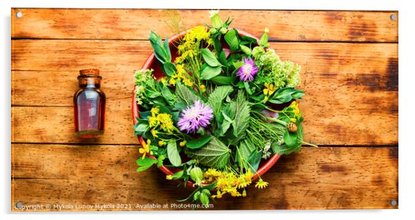 Natural medicine,fresh plants,healing herbs Acrylic by Mykola Lunov Mykola