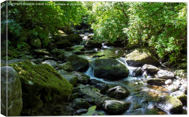 Lower Section Torc Waterfall Canvas Print by Derek Daniel