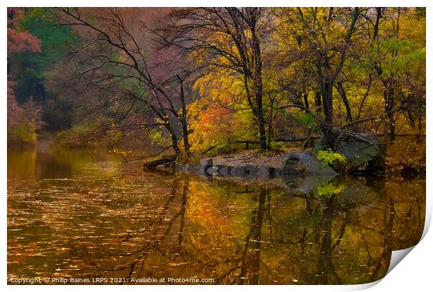 Reflections of Central Park Print by Philip Baines