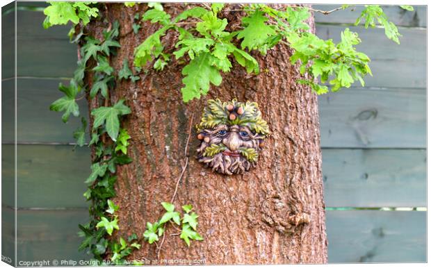 Tree Face Canvas Print by Philip Gough