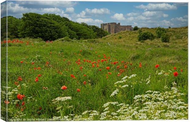 Bamburgh Castle, Northumberland amongst the wild flowers Canvas Print by Jenny Hibbert