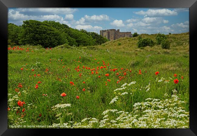Bamburgh Castle, Northumberland amongst the wild flowers Framed Print by Jenny Hibbert